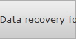 Data recovery for South Jersey City data